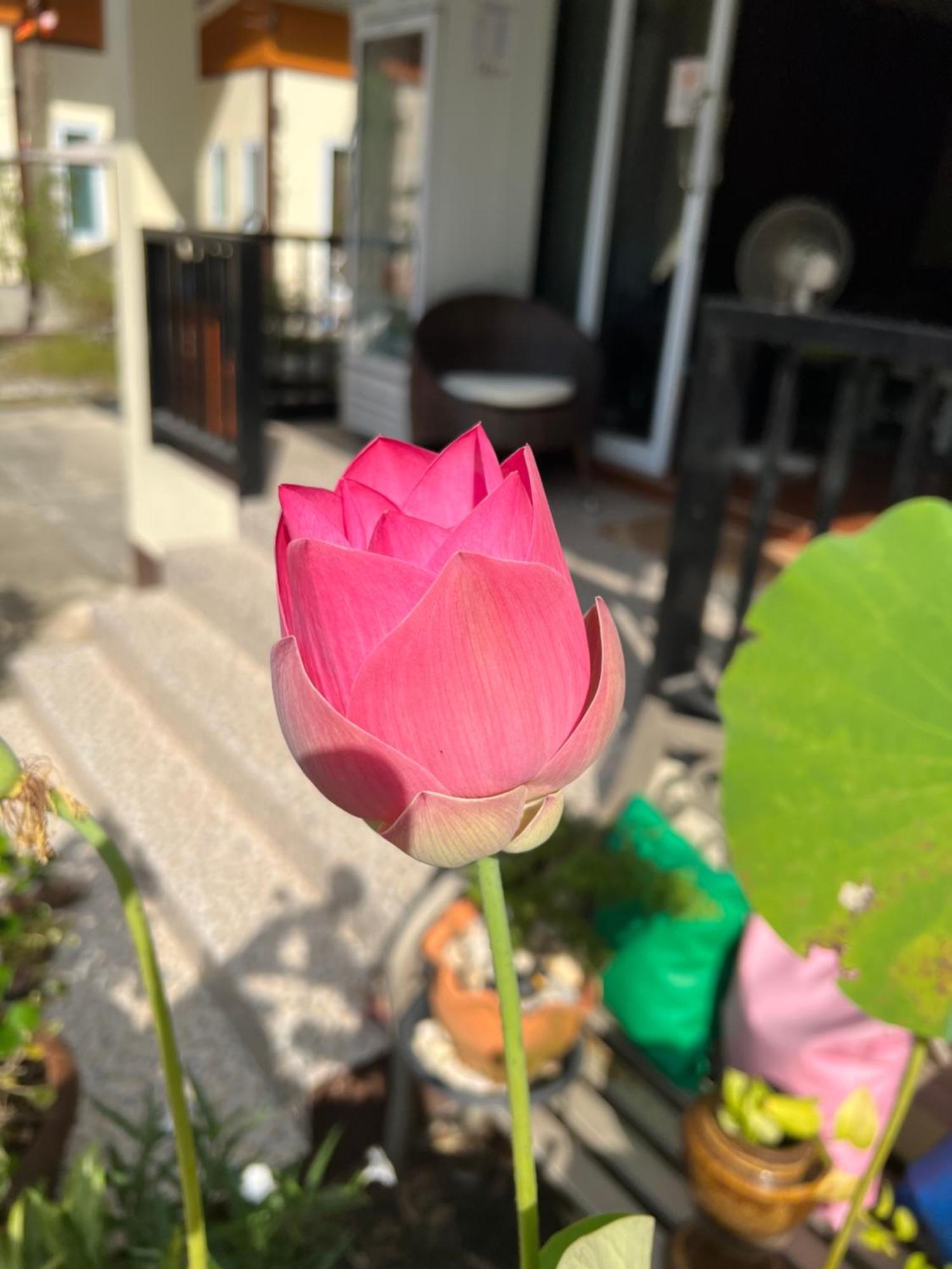 Bsk Bungalows リパノイ エクステリア 写真